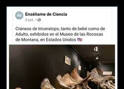 Enlace a Todo es una conspiración