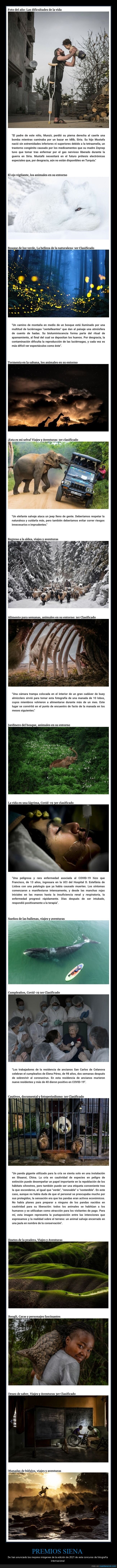 premios siena,fotografía