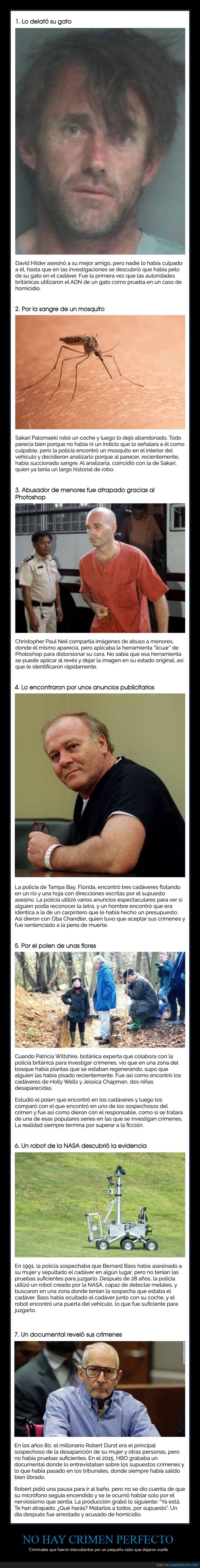 crímenes,descubiertos