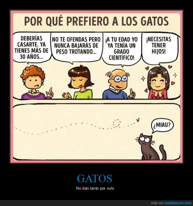 preferir,gatos