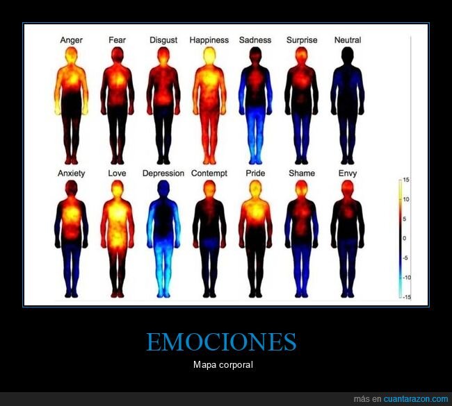 emociones,cuerpo