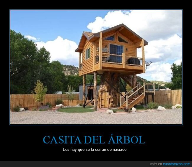 casa,árbol