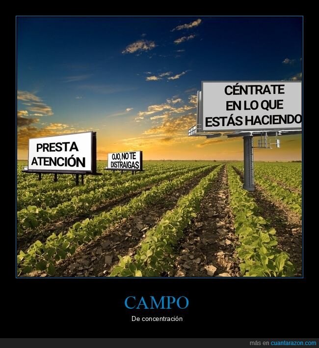 campo,concentración