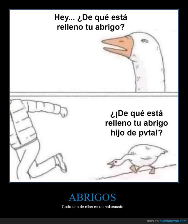 abrigo,plumas,ganso