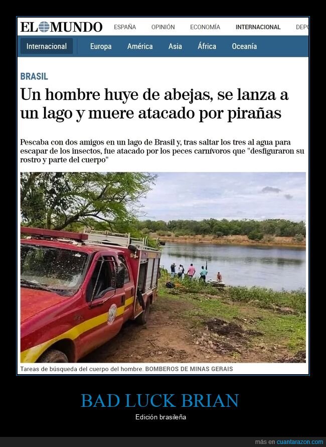 abejas,lago,morir,pirañas,fails