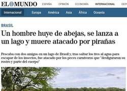 Enlace a Demasiada mala suerte junta