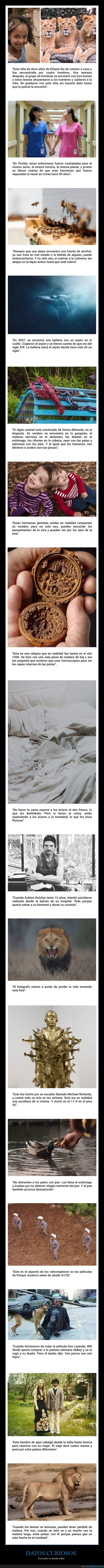 datos curiosos,curiosidades