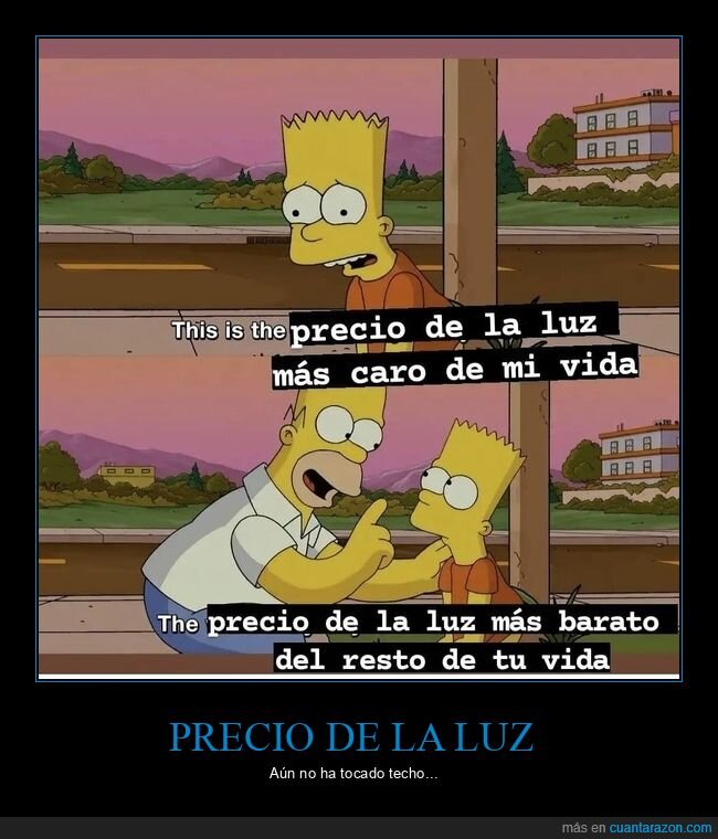 luz,precio,caro,barato,simpsons