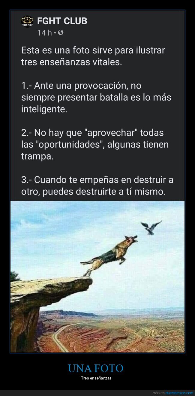 enseñanzas,perro,pájaro,precipicio