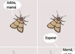 Enlace a Madre preocupada