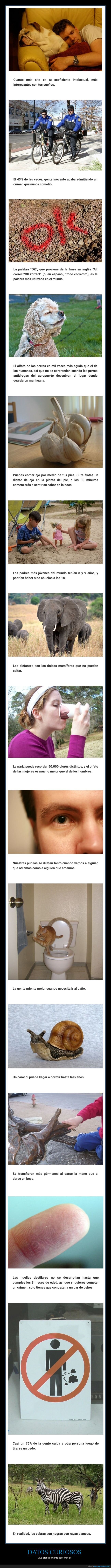 datos curiosos,curiosidades