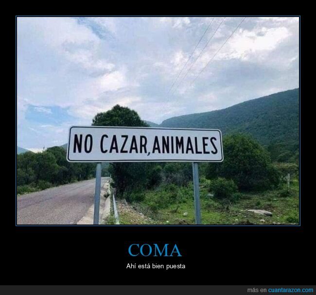 carteles,cazar,animales,coma