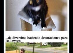 Enlace a “Hubo un intento…”