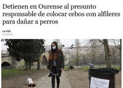 Enlace a Cazado al fin