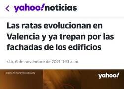 Enlace a Están evolucionando...