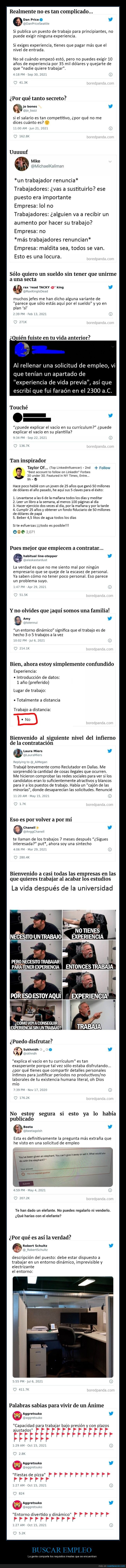 empleo,requisitos,irreales