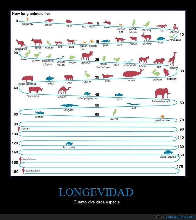 curiosidades,especies,vivir