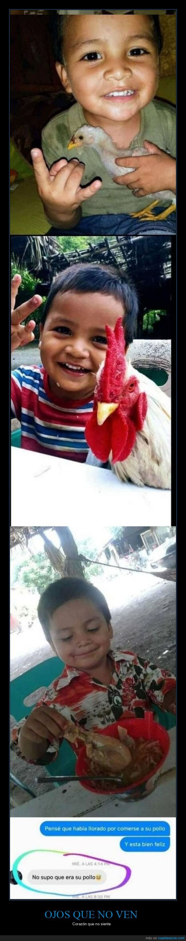 comiendo,niño,pollo