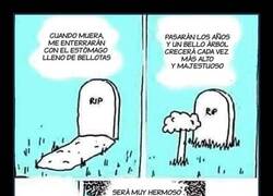 Enlace a Será muy hermoso...