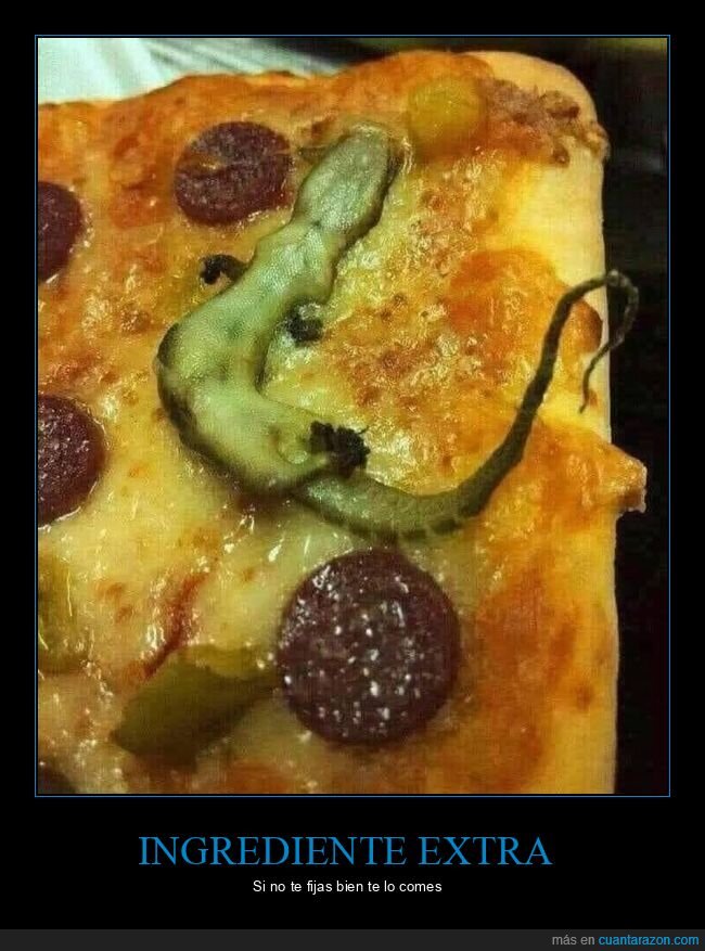 Sacar relojes de sus cajas