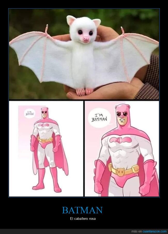 murciélago,batman,rosa