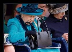 Enlace a El bolso de la reina