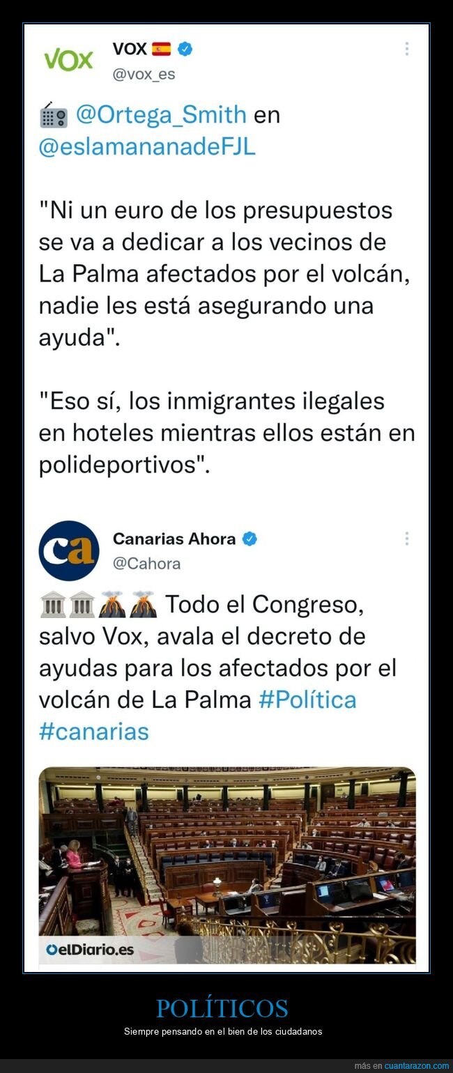 vox,ayudas,volcán,la palma