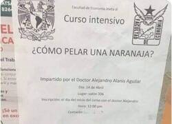 Enlace a Los Simpson también predijeron este curso