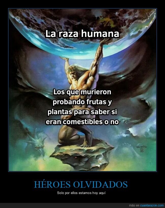 humanos,probar,comestibles,morir