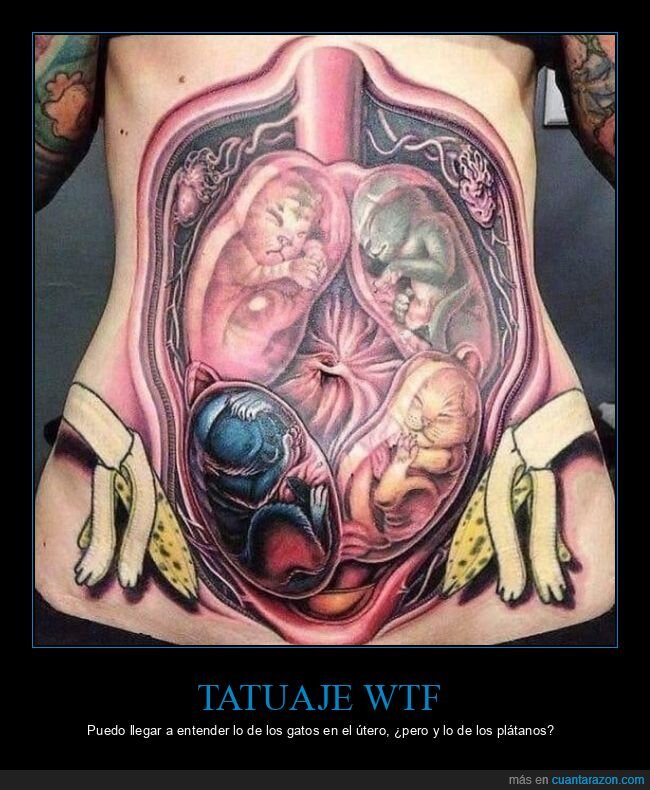 gatos,útero,tatuaje,wtf