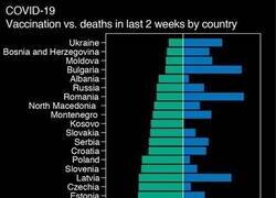 Enlace a Los datos hablan por sí solos