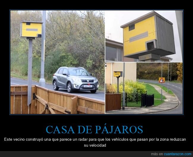casa para pájaros,radar,velocidad