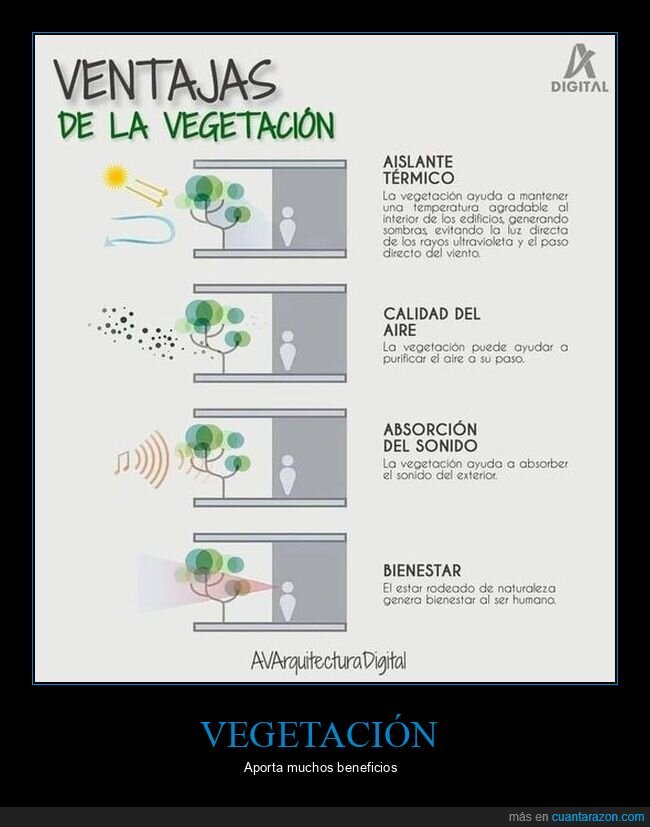 vegetación,ventajas