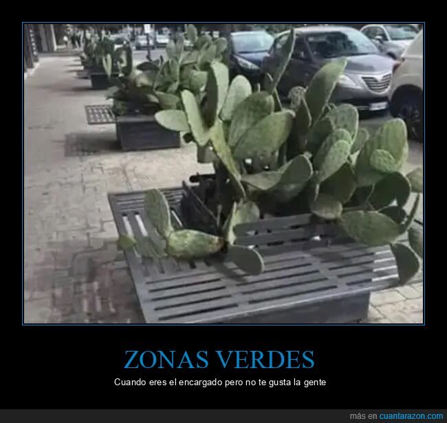 cactus,wtf,zonas verdes