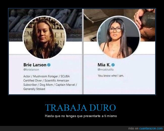 brie larson,mia khalifa,twitter