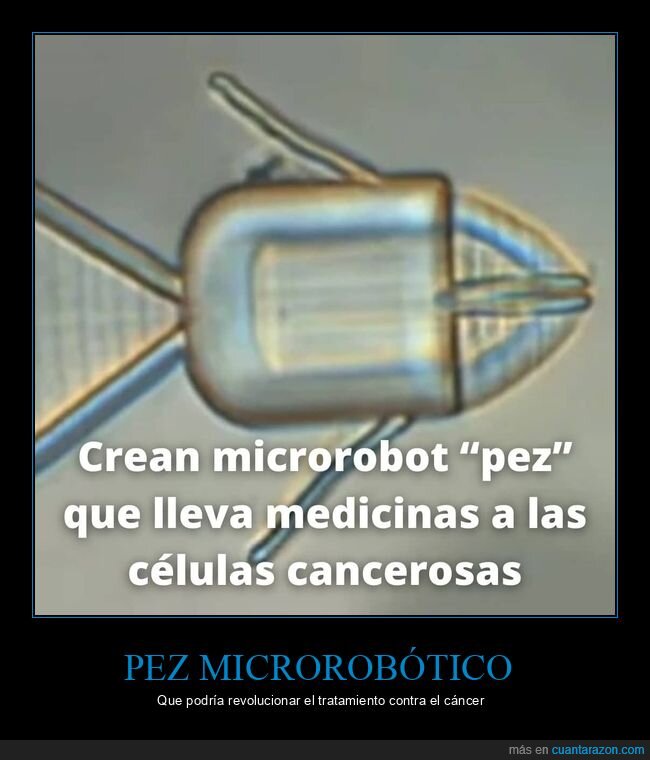 pez,microrobot,cáncer