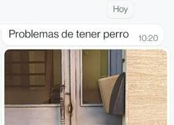 Enlace a Ha elegido su nuevo hogar