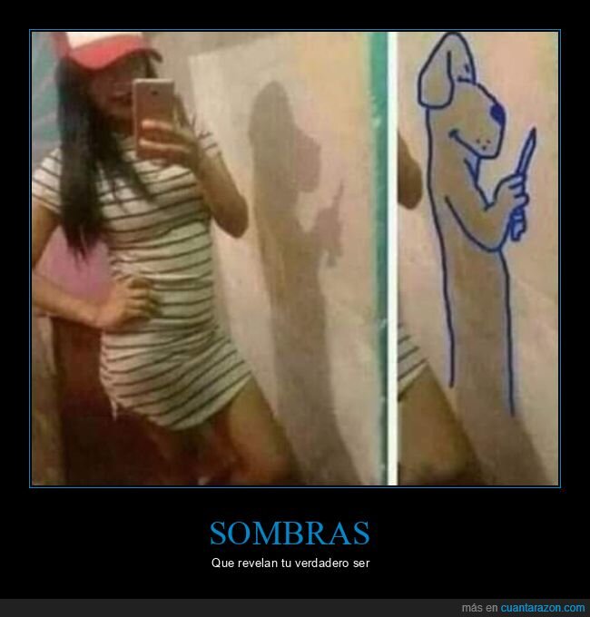 sombra,perro,wtf