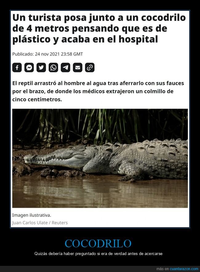 cocodrilo,posar,fails,plástico