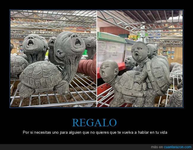 bebés,figuras,tortugas,wtf