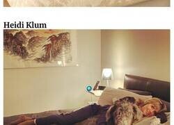 Enlace a Famosos que son conocidos por su inmenso amor a los perros