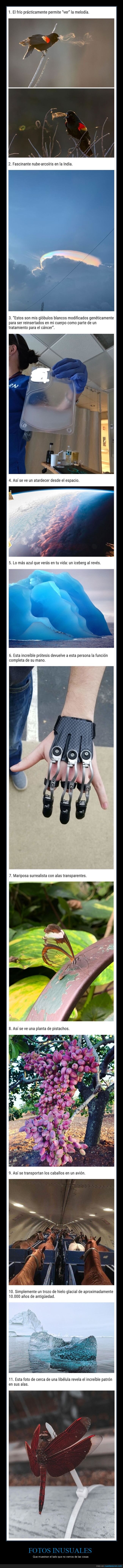 fotos inusuales