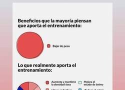 Enlace a Los múltiples beneficios de entrenar