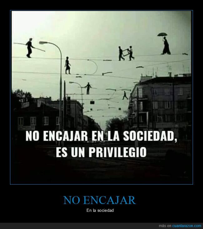 encajar,sociedad