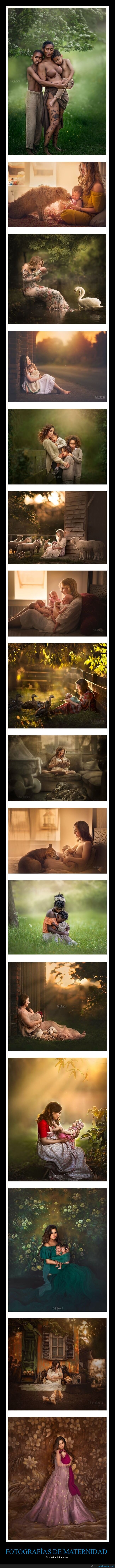 fotografías,maternidad