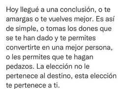 Enlace a Solo hay dos opciones