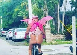 Enlace a Mariposa a la fuga