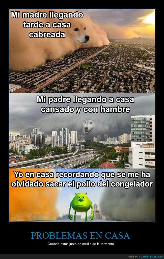 madre,padre,llegar,pollo,congelador