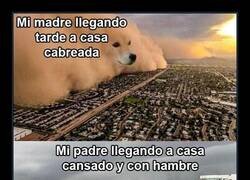 Enlace a La cosa se va a poner tensa...