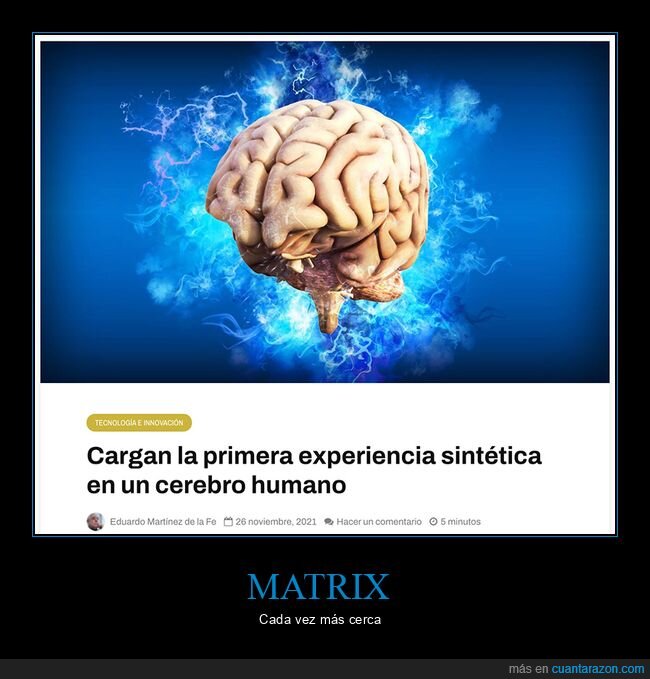 cerebro,experiencia sintética
